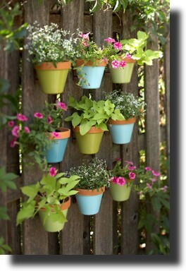 Image of flower pots arranged on a wooden fence for vertical points of interest