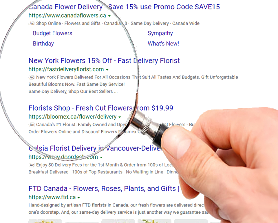 Web Content Creation Inside My Office